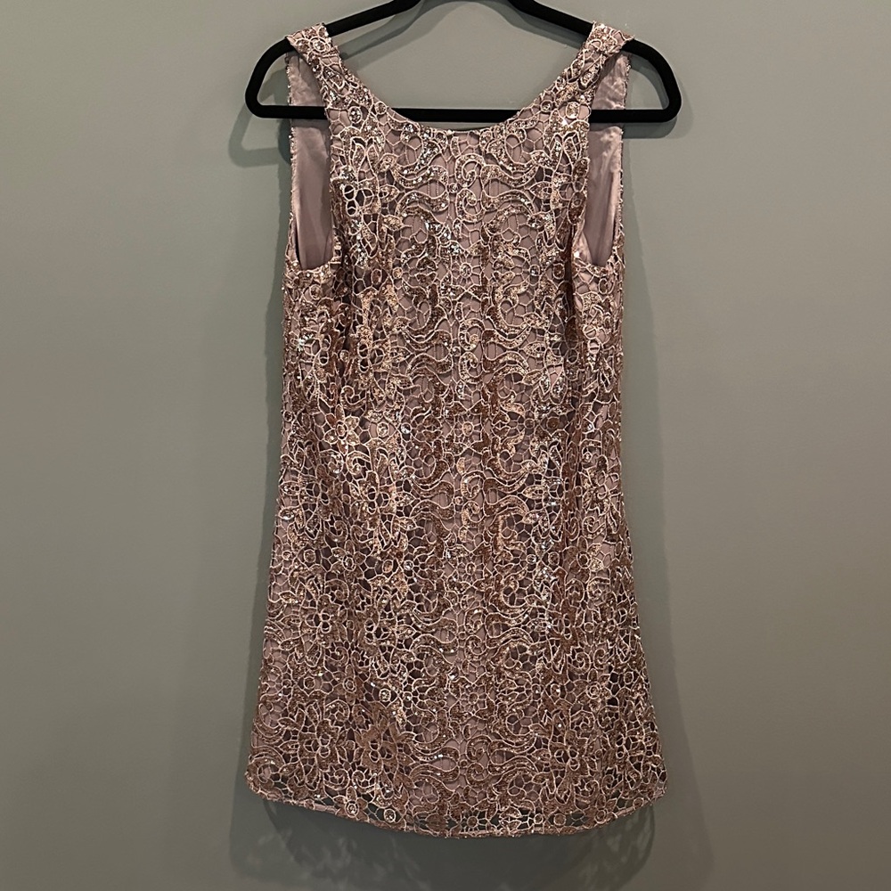 Badgley Mischka Pink Lace Mini Dress
